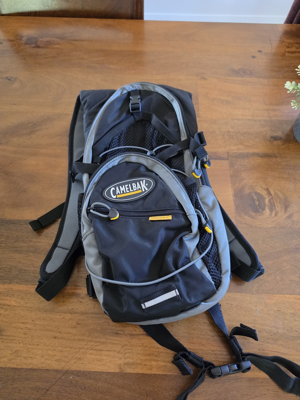 CamelBak Black & Gray Hydration Backpack - Compact Men’s Pack